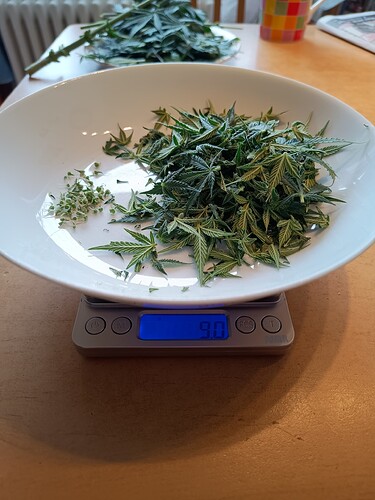 Growreport Bild 21