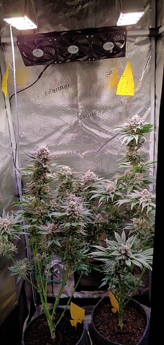 Growreport Bild 13