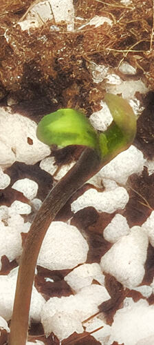 Screenshot_2026-01-09-07-40-17-639_com.miui.gallery