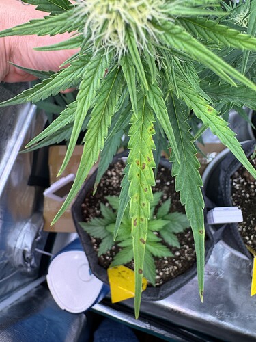 Growreport Bild 9