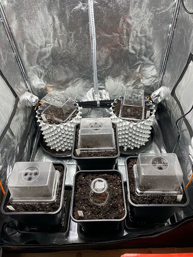 Growreport Bild 1