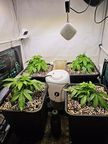 Growreport Bild 27