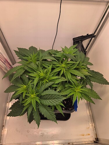 Growreport Bild 5