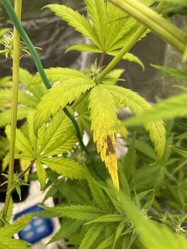 Growreport Bild 5