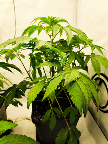 Growreport Bild 7