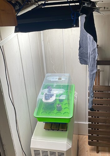 8DD2EABA-4B66-4FB4-8D8E-F8E23D1CF16A