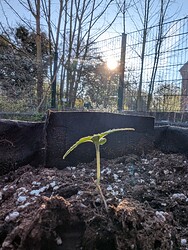 PXL_20250408_063554799