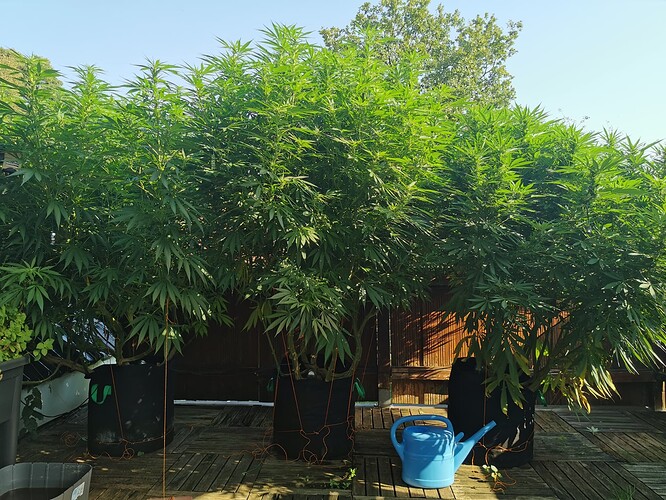 Growreport Bild 23