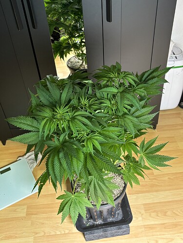 Growreport Bild 20