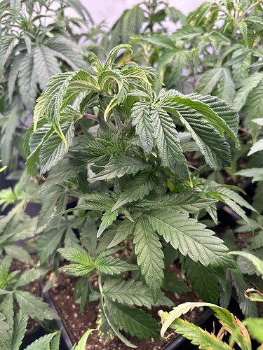 Growreport Bild 8