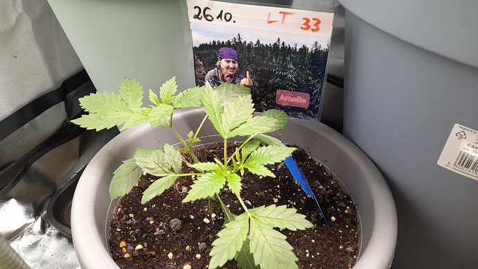 Growreport Bild 5