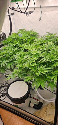 Growreport Bild 3