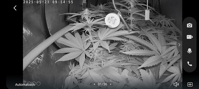 Growreport Bild 24