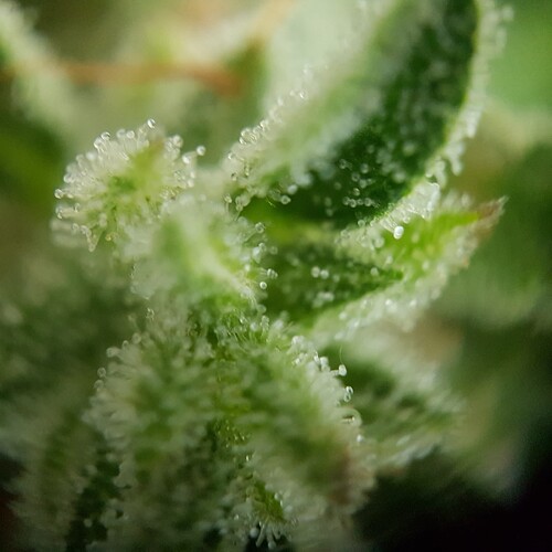 Growreport Bild 10