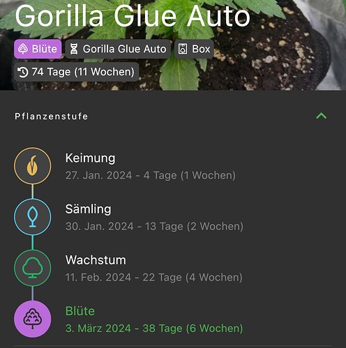 Growreport Bild 11