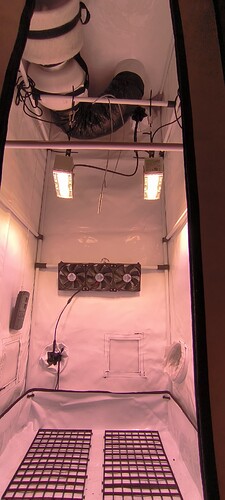 Growreport Bild 15