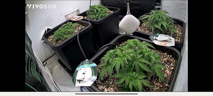 Screenshot_2025-10-08-22-53-51-480_com.vivosun.android