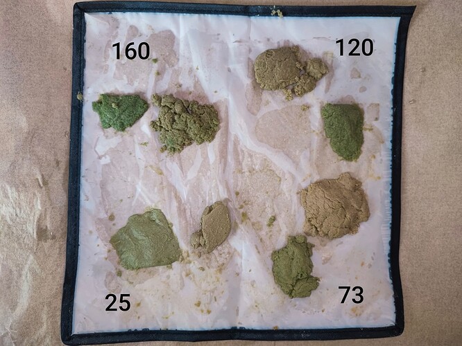 Growreport Bild 25