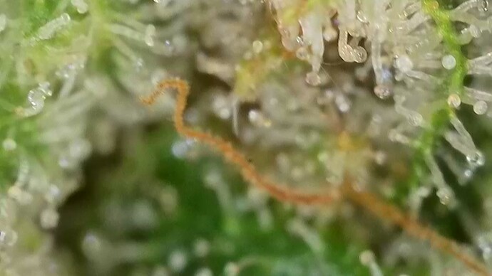 Growreport Bild 18
