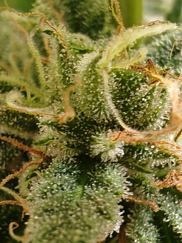 Growreport Bild 10