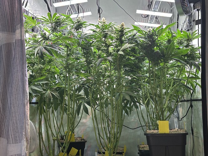 Growreport Bild 22