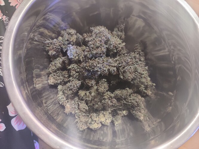 Growreport Bild 19