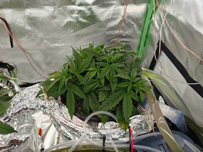 Growreport Bild 34