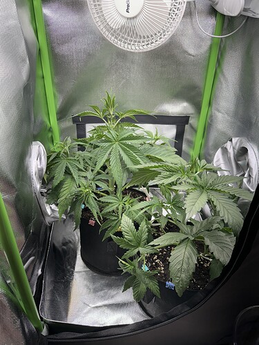 Growreport Bild 3