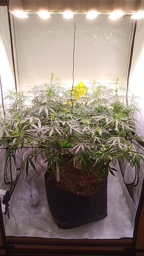 Growreport Bild 14