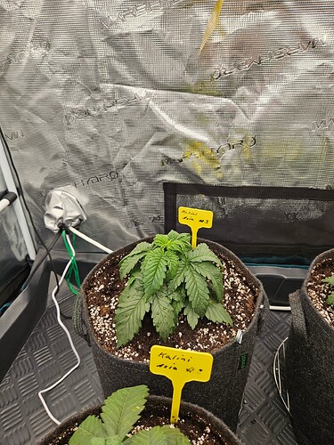Growreport Bild 16