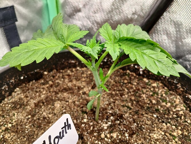 Growreport Bild 12