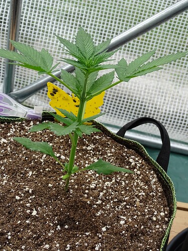 Growreport Bild 19