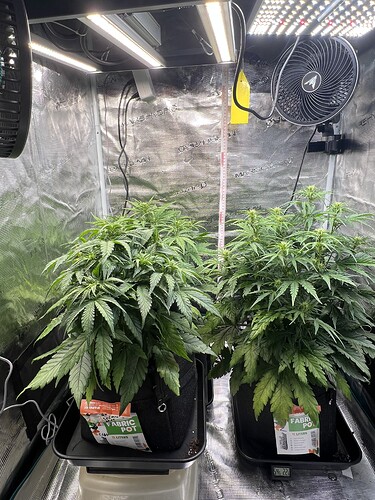 Growreport Bild 1