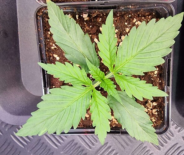 Screenshot 2024-04-10 1327401 - Kopie