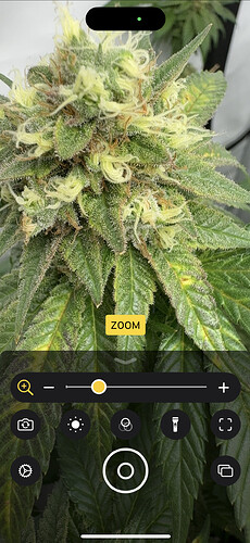 Growreport Bild 6