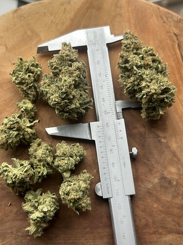 Growreport Bild 12
