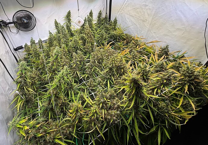 Growreport Bild 11