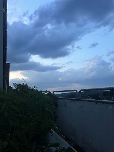 Growreport Bild 61