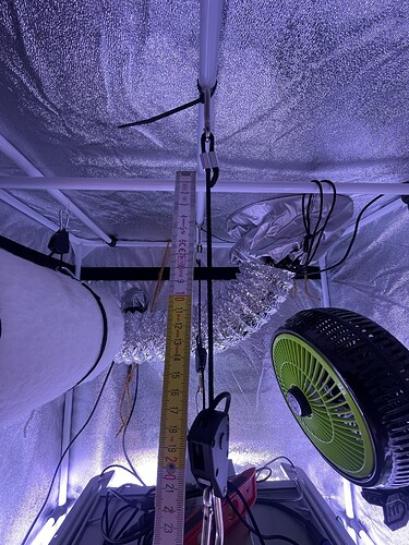 Growreport Bild 4