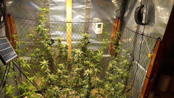 Growreport Bild 8