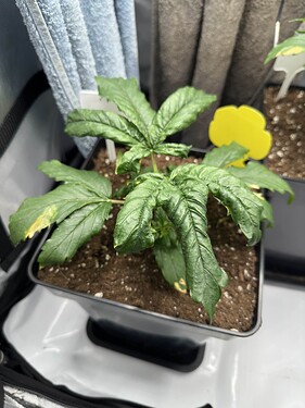 Growreport Bild 20
