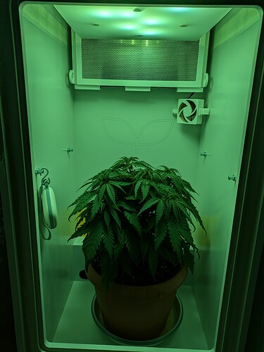 Growreport Bild 13