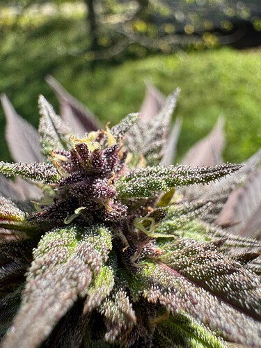 Growreport Bild 13