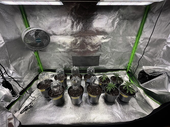 Growreport Bild 29