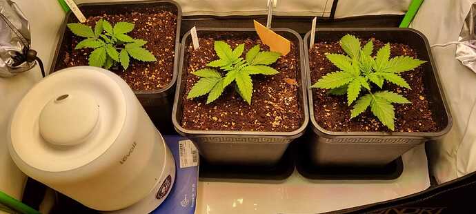 WhatsApp Image 2024-05-09 at 11.13.02 (3)