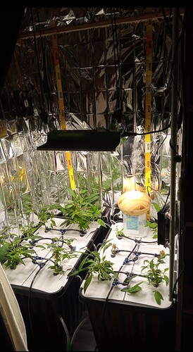 Screenshot_20250316_181659