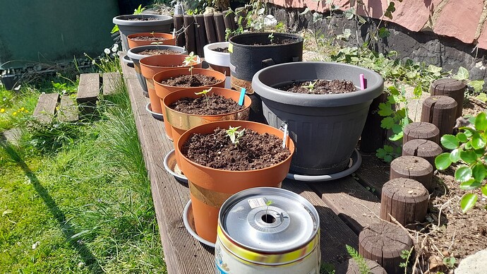 Growreport Bild 8