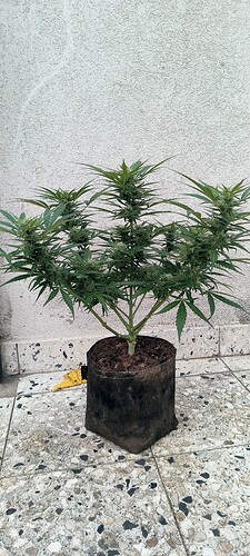 Growreport Bild 24