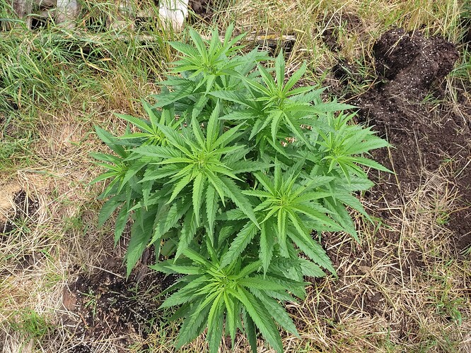 Growreport Bild 18