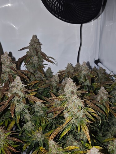 MVIMG_20251128_150450